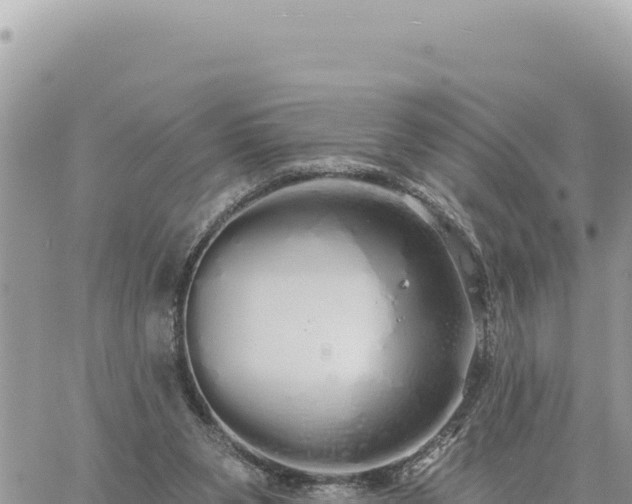 X0000060760111200511171158