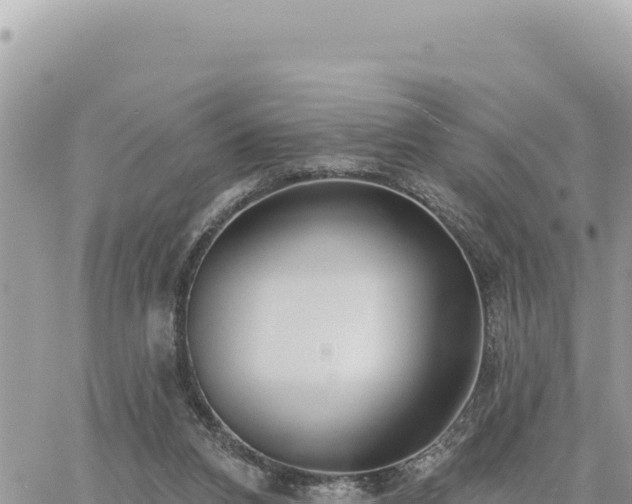 X0000060760112200511171158