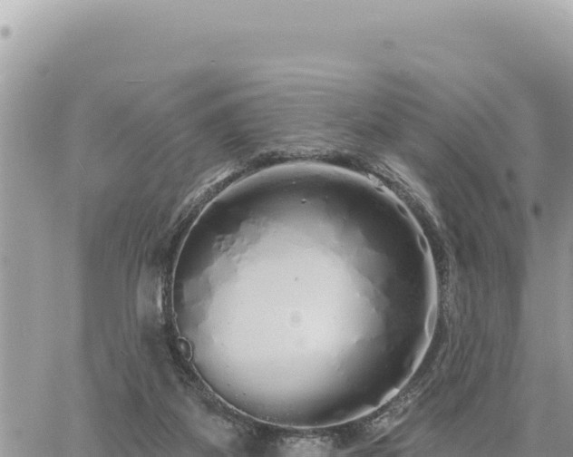 X0000060760115200511171158