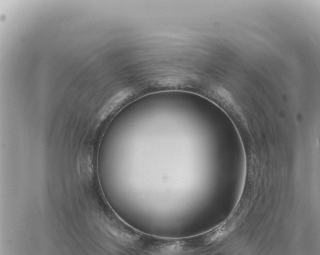 X0000060760116200511171158