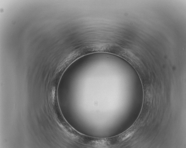 X0000060760118200511171158