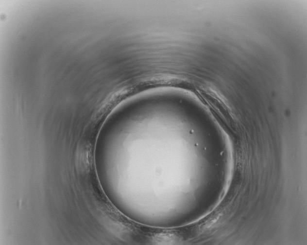 X0000060760119200511171158