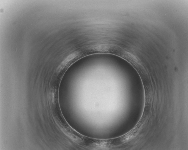 X0000060760120200511171158