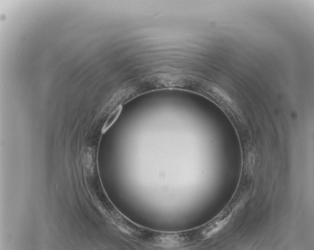 X0000060760121200511171158