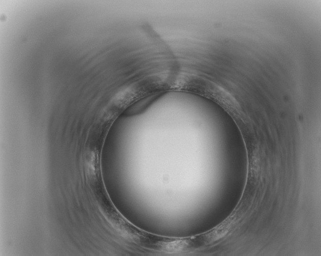 X0000060760122200511171158