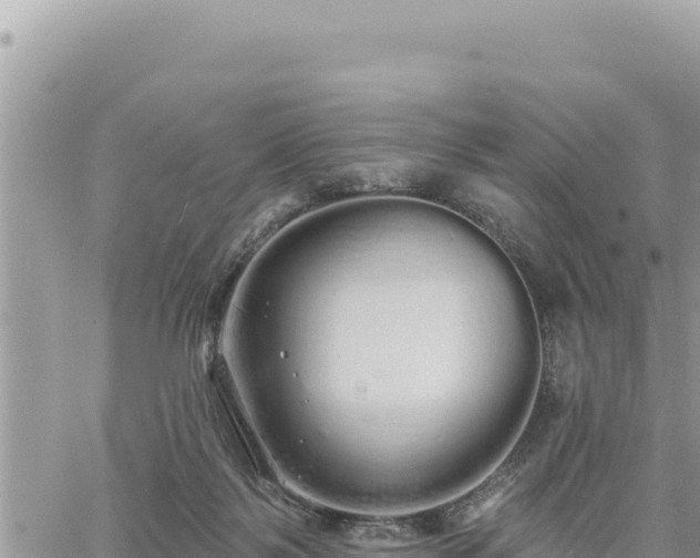 X0000060760123200511171158