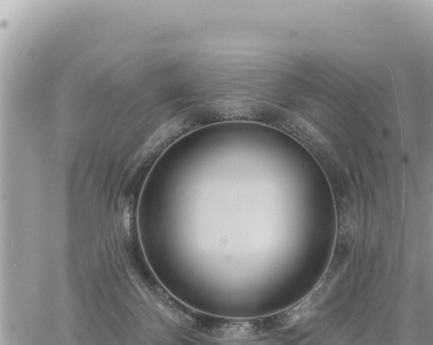 X0000060760124200511171158