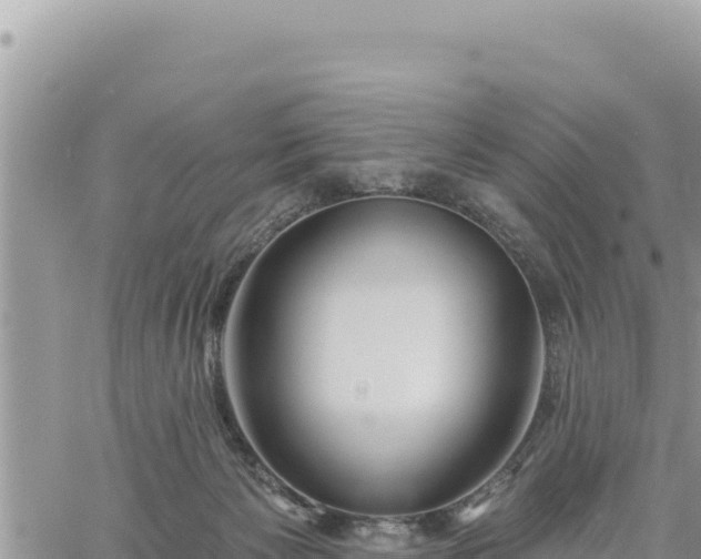 X0000060760125200511171158