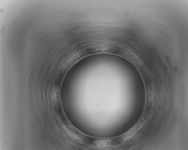 X0000060760126200511171158