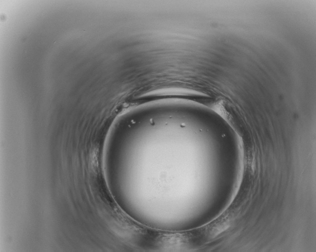 X0000060760127200511171158