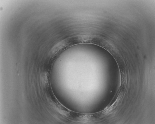 X0000060760128200511171158