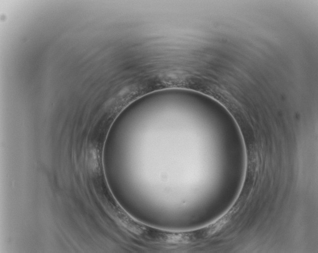 X0000060760130200511171157