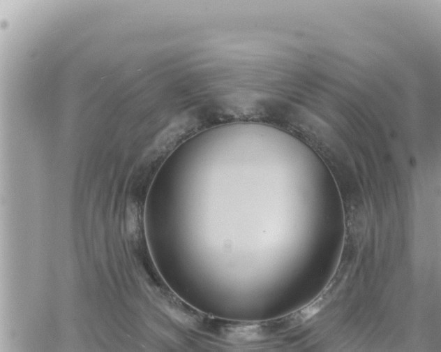 X0000060760132200511171157