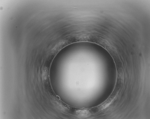 X0000060760133200511171157