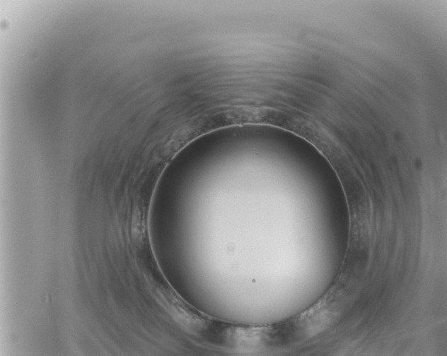 X0000060760134200511171157