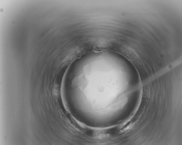 X0000060760135200511171157