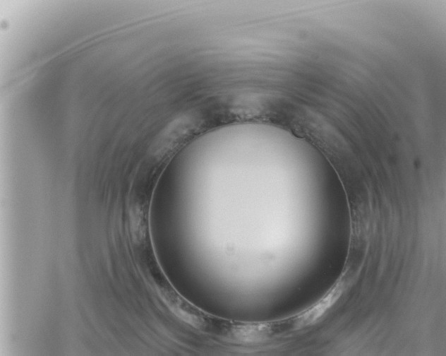 X0000060760136200511171157