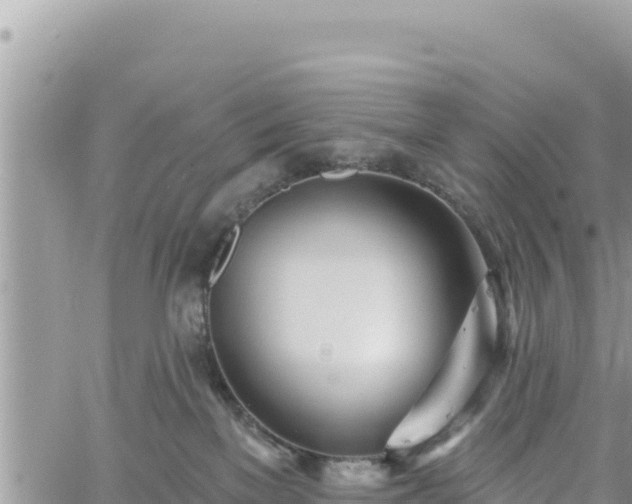 X0000060760137200511171157