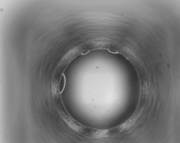 X0000060760138200511171157