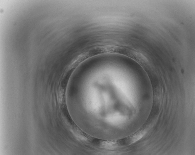 X0000060760139200511171157