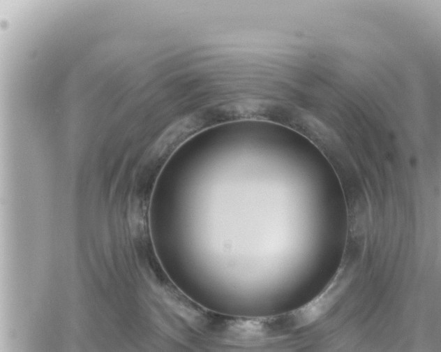 X0000060760140200511171157