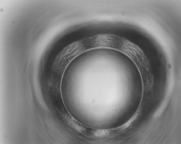 X0000060760142200511171157