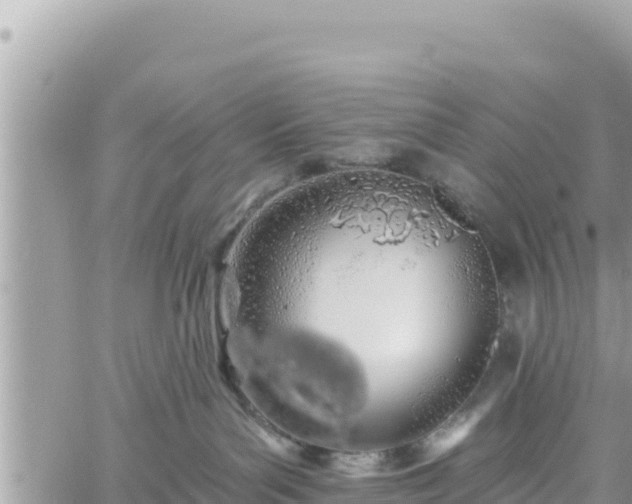 X0000060760143200511171157