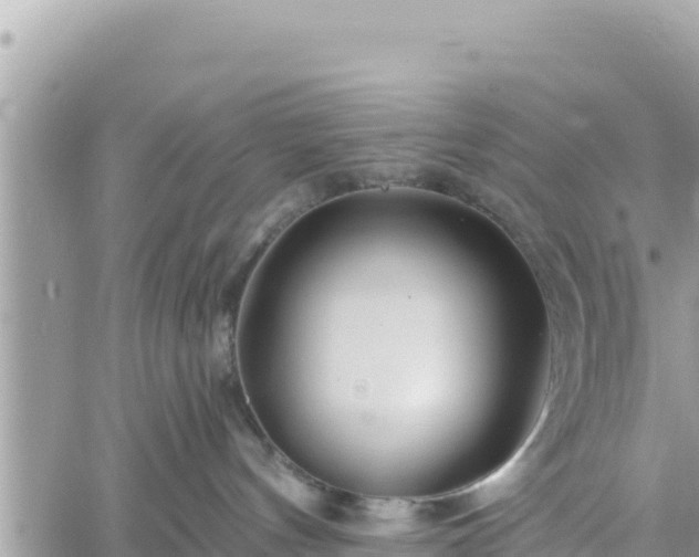 X0000060760144200511171157