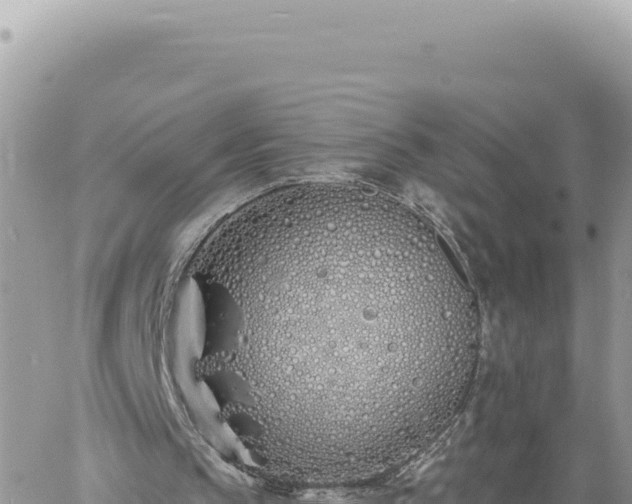 X0000060760145200511171156