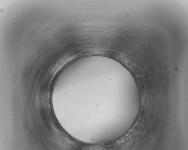 X0000060760146200511171156