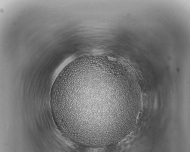 X0000060760147200511171156