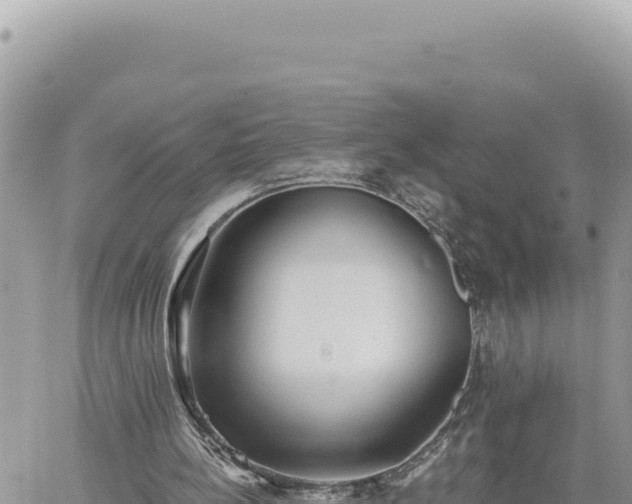 X0000060760148200511171157