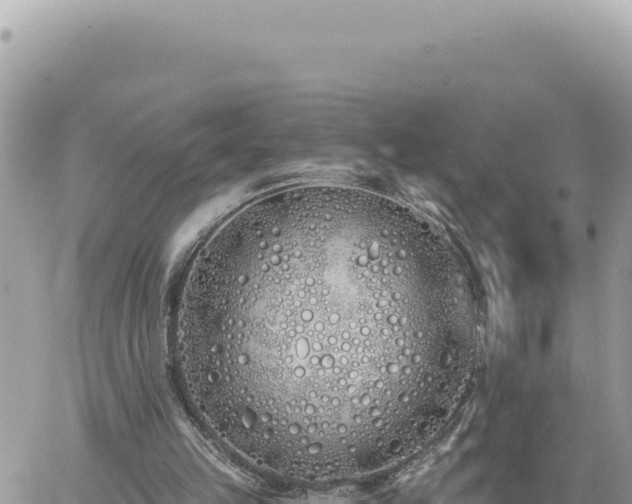 X0000060760149200511171157