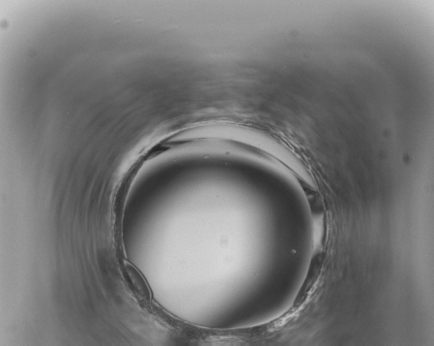 X0000060760150200511171157