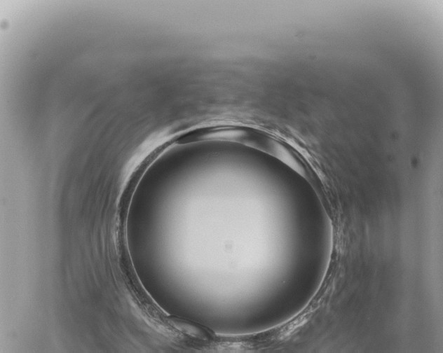 X0000060760152200511171157