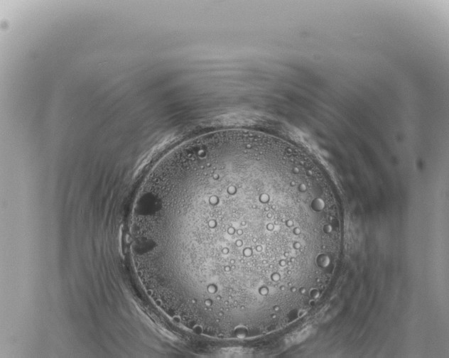 X0000060760153200511171157