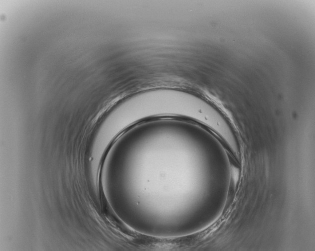 X0000060760154200511171157