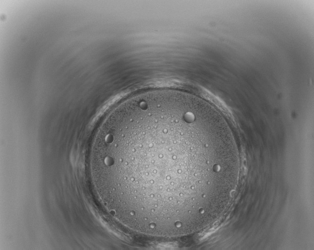 X0000060760155200511171157