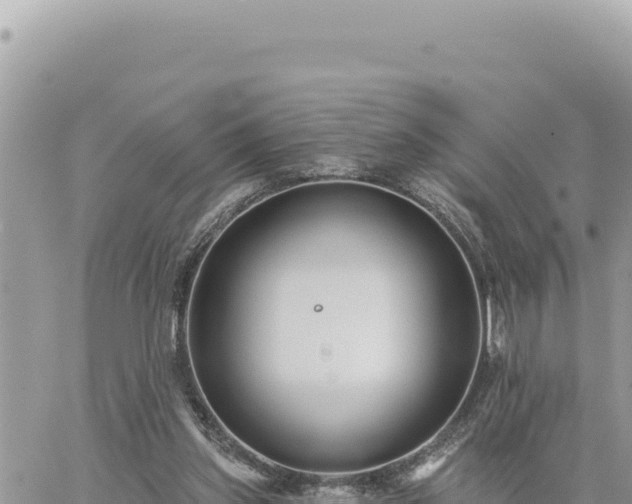 X0000060760157200511171157