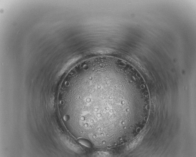 X0000060760159200511171157