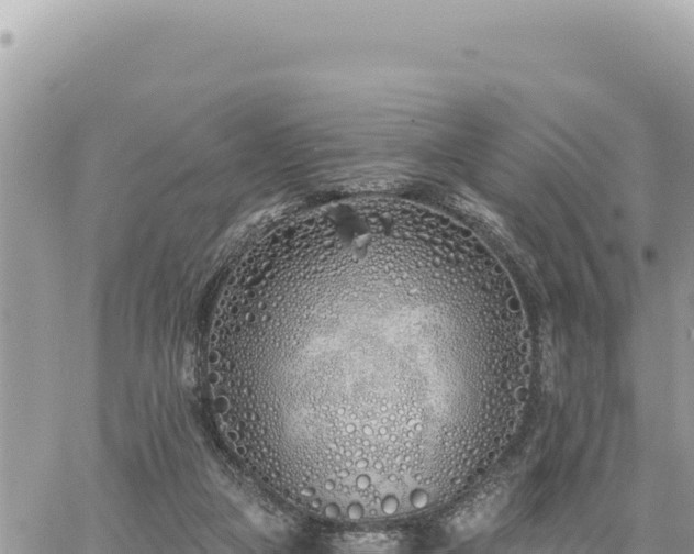 X0000060760161200511171157