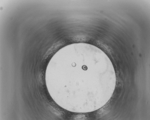 X0000060760162200511171157