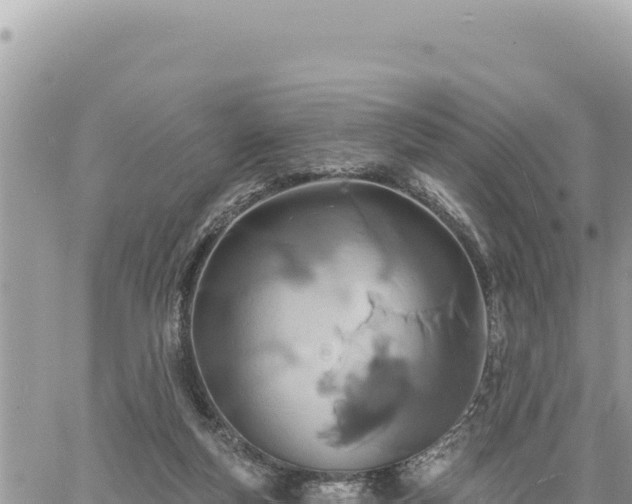 X0000060760163200511171157