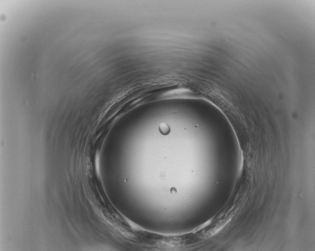 X0000060760164200511171157