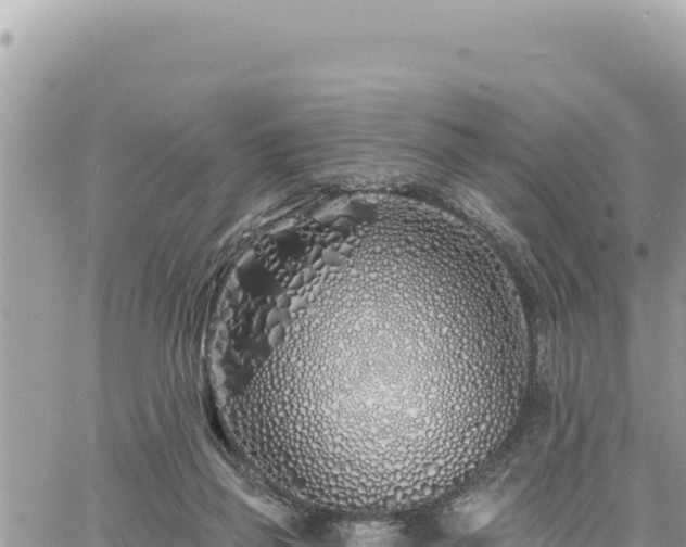 X0000060760165200511171157