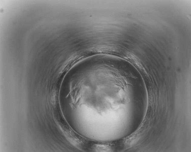 X0000060760167200511171157