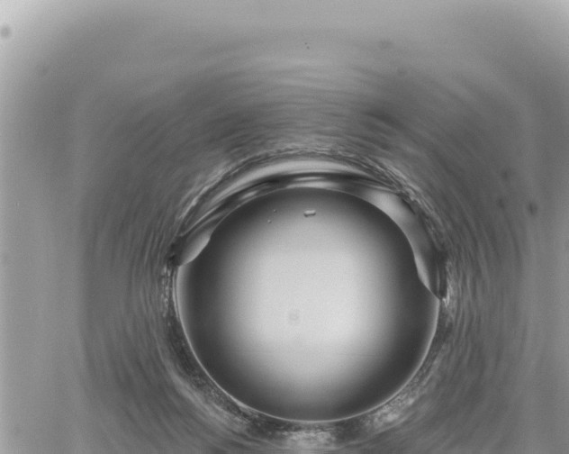 X0000060760168200511171157