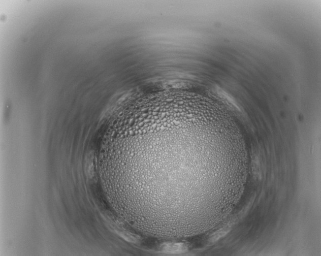 X0000060760169200511171157