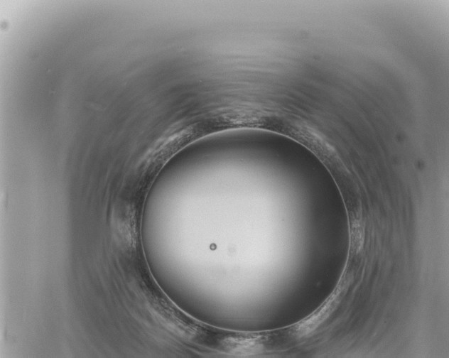 X0000060760170200511171157