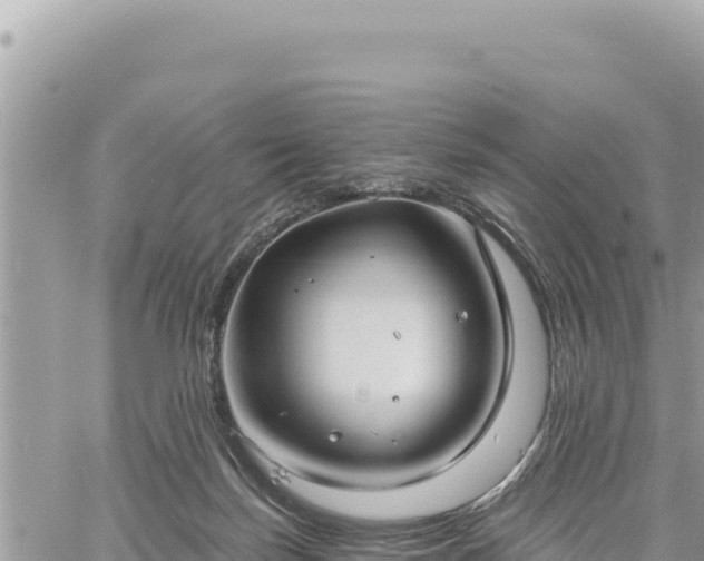 X0000060760171200511171157